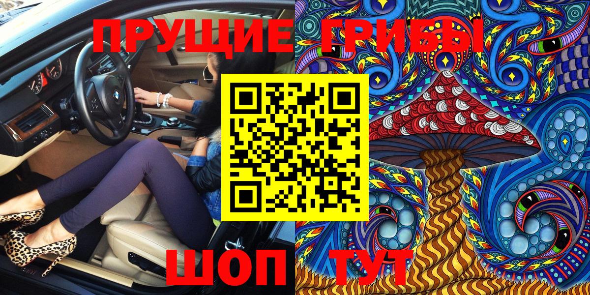 Ефремов  Псилоцибиновые грибы Cubensis  Вход с VPN 